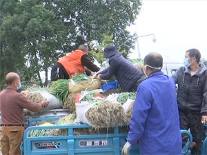 爱心菜农捐赠7000斤蔬菜助力防疫 我市战“疫”保供不断档