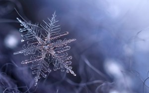最低0℃！有雨夹雪或小雪！德阳强降温升级了！