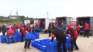 企业“蔬”送爱心温暖特殊群体 为防疫注入暖心力量