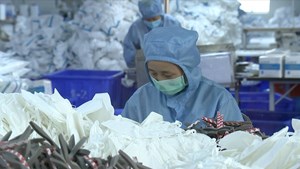 【决战四季度 大干一百天】凝聚强大合力 全力以赴助企纾困解难