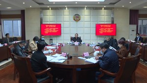 市政协召开党组（扩大）会议暨九届第十一次主席会议
