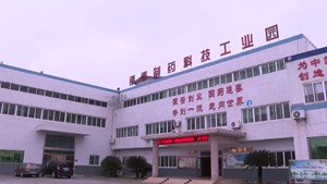 【聚焦非公企业50强】逢春制药：激活知识产权创新动能 引领医药产业高效发展