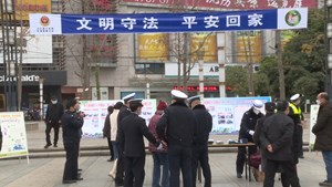 全国交通安全日：摒弃陋习 做文明交通参与者