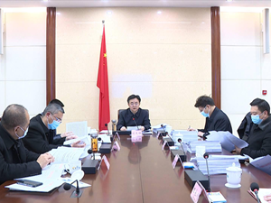 市政府召开党组（扩大）会议