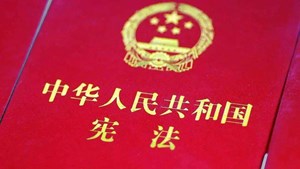 从我们出生开始，这部法律便会陪伴我们一生！