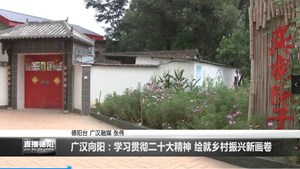 广汉向阳：学习贯彻党的二十大精神 绘就乡村振兴新画卷
