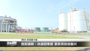 旌阳德新：决战四季度 紧抓项目促振兴 