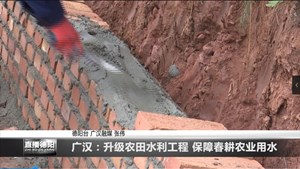 广汉：升级农田水利工程 保障春耕农业用水
