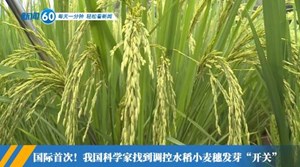 新闻60s│每天一分钟 轻松看新闻