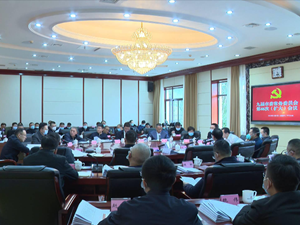 市委常委会召开（扩大）会议