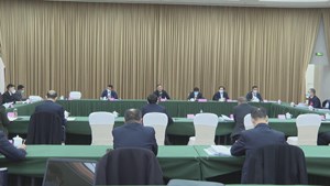 中共德阳市委九届五次全体会议分组会议(二)