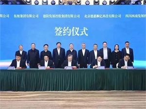 我市与四川发展（控股）有限责任公司、东旭集团有限公司举行合作交流座谈会