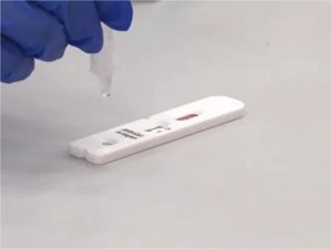 “阳”过一次还会再“阳”吗？权威回应！
