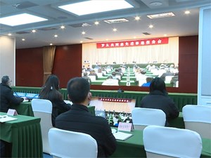 罗从兵先进典型事迹报告会举行
