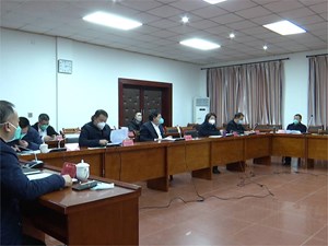 罗江区：落实“五大战略” 建设“大同予共”现代化罗江
