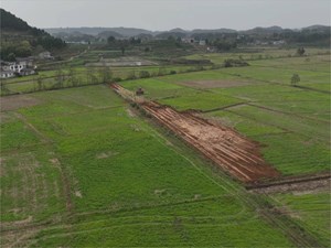 【决战四季度 大干一百天】我市加快推进高标准农田建设 农时农事两不误