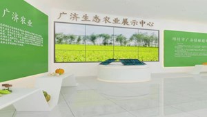 【决战四季度 大干一百天】绵竹广济镇：狠抓项目 激活乡村振兴动能