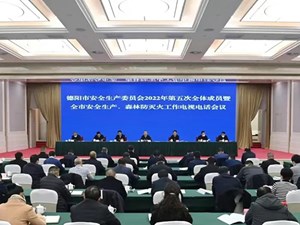 以系统观念统筹抓好安全防范各项工作 切实保障人民群众生命财产安全