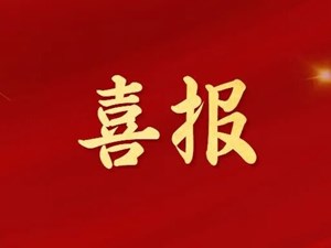 德阳市5个集体和5名个人喜获四川省119消防奖！