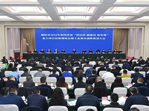 全力以赴抓项目促发展 深入实施工业强市战略 为四川建设制造强省作出德阳贡献