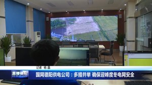 国网德阳供电公司：多措并举 确保迎峰度冬电网安全