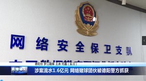 涉案流水1.6亿元 网络赌球团伙被德阳警方抓获