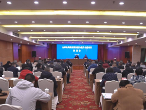 全市公共就业服务能力提升示范项目推进大会召开
