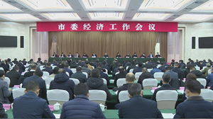 市委经济工作会议举行