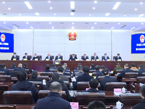 卢也主持召开市九届人大常委会第八次会议