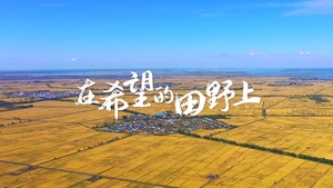 《在希望的田野上》