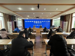 市商务局召开全市商务领域安全生产工作专题会议