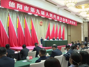 市九届人大二次会议举行预备会议