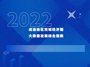成渝地区双城经济圈大数据发展指数发布，德阳城市排名第二