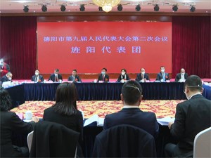 市九届人大二次会议各代表团举行分团会议 刘光强参加旌阳代表团审议