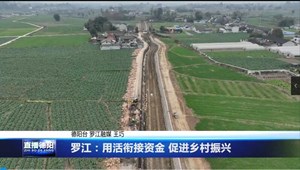 罗江：用活衔接资金 促进乡村振兴