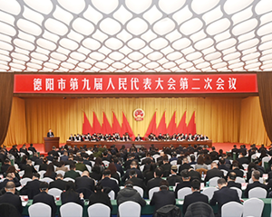 市九届人大二次会议举行第二次全体会议