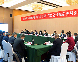 市政协九届二次会议召开提案委员会第二次会议