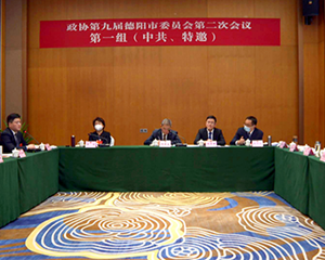 市政协九届二次会议继续开展分组协商讨论 何明俊参加