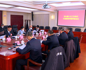 市九届人大经济委员会召开专题审查会议