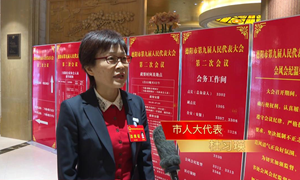 德阳两会正在进行中-代表委员声音