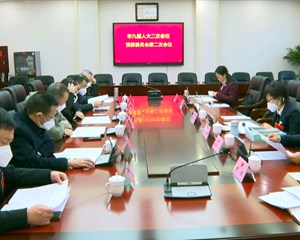 市九届人大预算委员会召开专题审查会议