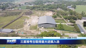 三星堆考古取得重大进展入选