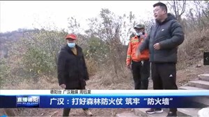 广汉：打好森林防火仗 筑牢“防火墙”