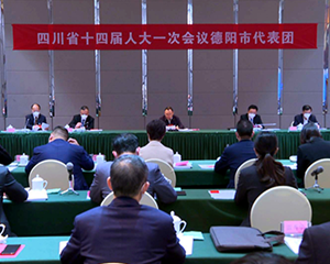 直通省“两会”｜省十四届人大一次会议德阳代表团举行第一次全体会议