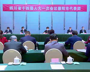 直通省“两会”｜省十四届人大一次会议德阳代表团举行第二次全体会议