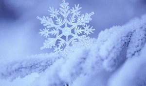 今年首个！德阳发布强降温黄色预警！直降8℃，这些地方要下雪