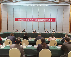 直通省“两会”｜省十四届人大一次会议德阳代表团举行第三次全体会议