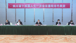 四川省十四届人大一次会议  德阳市代表团今日举行分团会议
