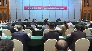 四川省十四届人大一次会议德阳市代表团今日举行分团会议