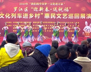 罗江：送“文”下乡 喜迎新春